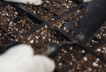 Amenajari Spatii Verzi Mioveni Amenajari Gradina Mioveni - WOW GARDEN