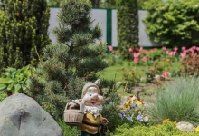 Amenajari Spatii Verzi Mioveni Amenajari Gradina Mioveni - WOW GARDEN