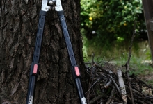 Amenajari Spatii Verzi Mioveni Amenajari Gradina Mioveni - WOW GARDEN