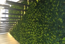 Amenajari Spatii Verzi Campia Turzii Amenajari Gradini Campia Turzii - Eco Garden Construct