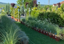 Amenajari Spatii Verzi Campia Turzii Amenajari Gradini Campia Turzii - Eco Garden Construct