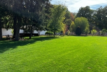 Amenajari Spatii Verzi Campia Turzii Amenajari Gradini Campia Turzii - Eco Garden Construct
