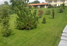 Amenajari Spatii Verzi Campia Turzii Amenajari Gradini Campia Turzii - Eco Garden Construct
