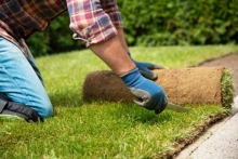 Amenajari Spatii Verzi Gherla Peisaj XXI SRL