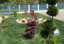 Amenajari Spatii Verzi Mogosoaia Sisteme de irigatii Mogosoaia - Art Garden