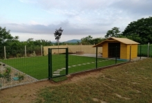 Amenajari Spatii Verzi Ciolpani Amenajari Gradini Spatii Verzi RomGarden