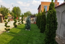 Amenajari Spatii Verzi Rosu Amenajari Gradini Spatii Verzi - RomGarden