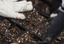 Amenajari Spatii Verzi Gaesti Amenajari Gradini si Spatii Verzi Gaesti - WOW GARDEN
