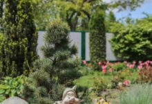 Amenajari Spatii Verzi Fieni Sisteme Irigatii Fieni - WOW GARDEN