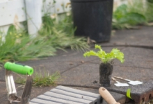 Amenajari Spatii Verzi Fieni Sisteme Irigatii Fieni - WOW GARDEN