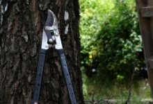 Amenajari Spatii Verzi Fieni Sisteme Irigatii Fieni - WOW GARDEN