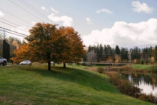 Amenajari Spatii Verzi Patarlagele Sisteme Irigatii Patarlagele - WOW GARDEN