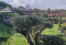 Fotografia 14 — Piese si Accesorii Sisteme Irigare Alba Iulia - Giardini Veneziani SRL