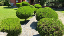 Amenajari Spatii Verzi Campia Turzii Piese si Accesorii Sisteme Irigare Campia Turzii - Giardini Veneziani SRL