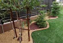 Amenajari Spatii Verzi Scornicesti Amenajari Gradini si Spatii Verzi Scornicesti - ADD.GREEN EXCLUSIVE