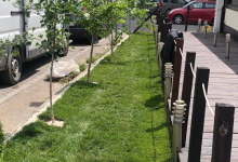 Amenajari Spatii Verzi Potcoava Amenajari Gradini si Spatii Verzi Potcoava - ADD.GREEN EXCLUSIVE