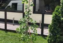 Amenajari Spatii Verzi Scornicesti Amenajari Gradini si Spatii Verzi Scornicesti - ADD.GREEN EXCLUSIVE