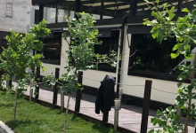 Amenajari Spatii Verzi Scornicesti Amenajari Gradini si Spatii Verzi Scornicesti - ADD.GREEN EXCLUSIVE