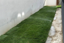 Amenajari Spatii Verzi Scornicesti Amenajari Gradini si Spatii Verzi Scornicesti - ADD.GREEN EXCLUSIVE