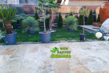 Amenajari Spatii Verzi Balotesti Amenajari Gradina Balotesti - WOW GARDEN