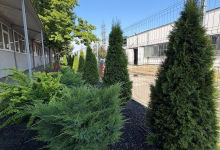 Amenajari Spatii Verzi Deva Amenajari Spatii Verzi si Sisteme Irigatii Deva  - Giardini Veneziani SRL