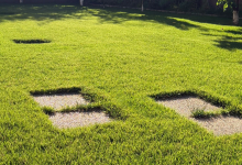 Amenajari Spatii Verzi Deva Amenajari Gradini si Spatii Deva - Giardini Veneziani SRL